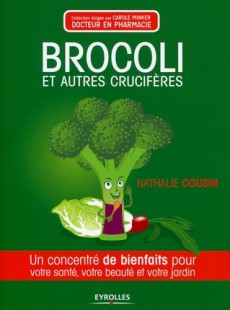 alliacees-et-cruciferes-une-alimentation-saine-regime-equilibre-perdre-poids-nutrition-vegetaux-plante-aliment-medicinal-condiment-51282